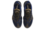 Кроссовки Nike Air Zoom Bb Nxt Ep