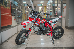 Питбайк Progasi KIDS POWER 110 (10/12) Красный