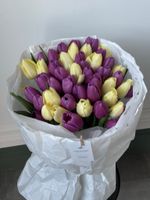 Букет из 51 фиолетового и желтого тюльпана-L