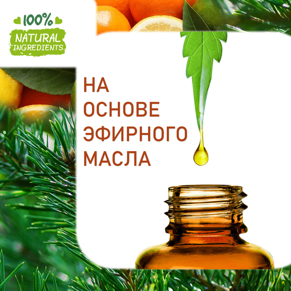 Цитрусы и хвоя, отдушка для свечей и мыла