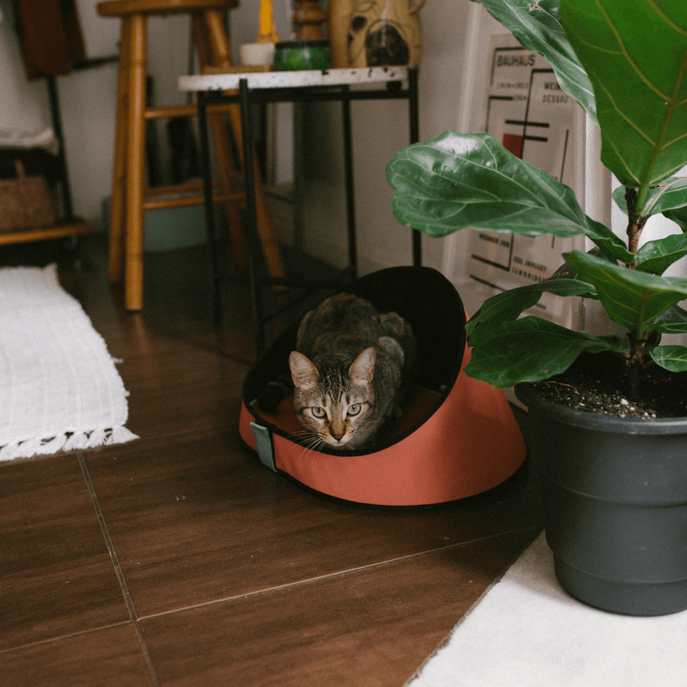 Лежанка TERRACOTA Zee.Cat