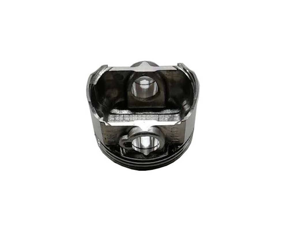 Поршень G210FA/130030208-0001