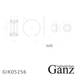 Подшипник ступицы передний LAND ROVER FREELANDER 98- GANZ GIK05256