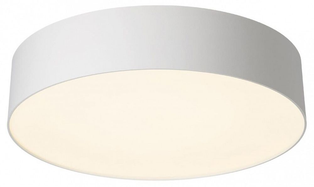 Накладной светильник Citilux BART CL755290