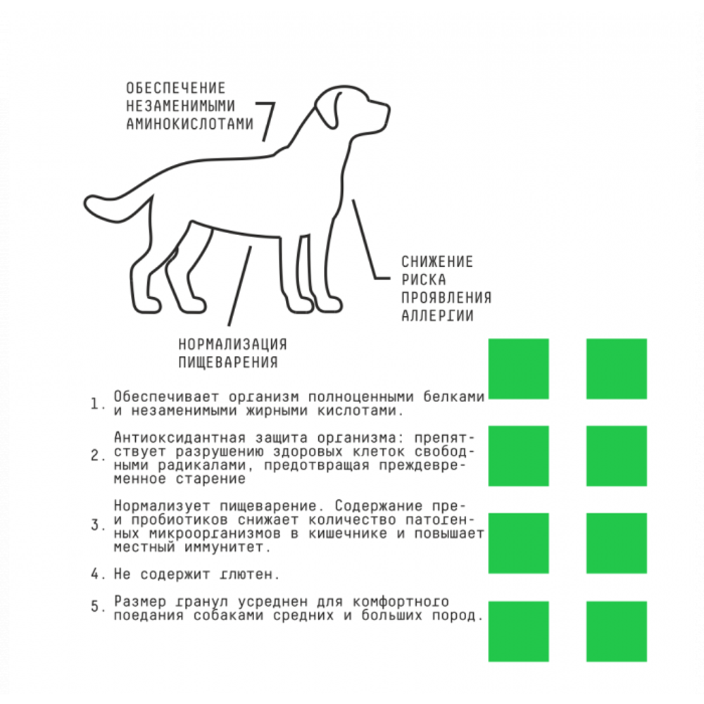 Сухой корм AJO Dog Hypoallergenic для взрослых собак средних и крупных пород, склонных к аллергиям, с гречкой