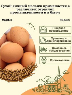 Сухой яичный меланж ГОСТ 303632013 500гр.МилоБио
