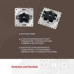 Розетка влагозащищенная с заземлением и со шторкой с крышкой Arte Milano am-203 203.41-1.white