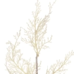 Ветка хвойная «Морозный иней» 50 см, Белый