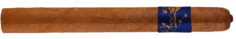 Principle Accomplice Connecticut Blue Band Churchill