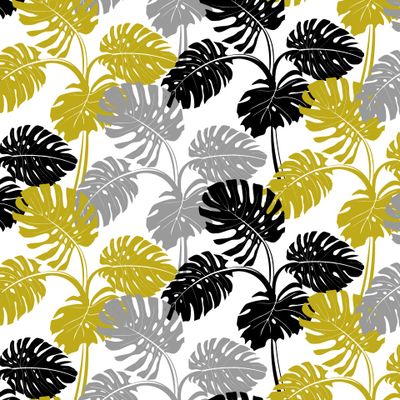 Монохромные листья Монстеры