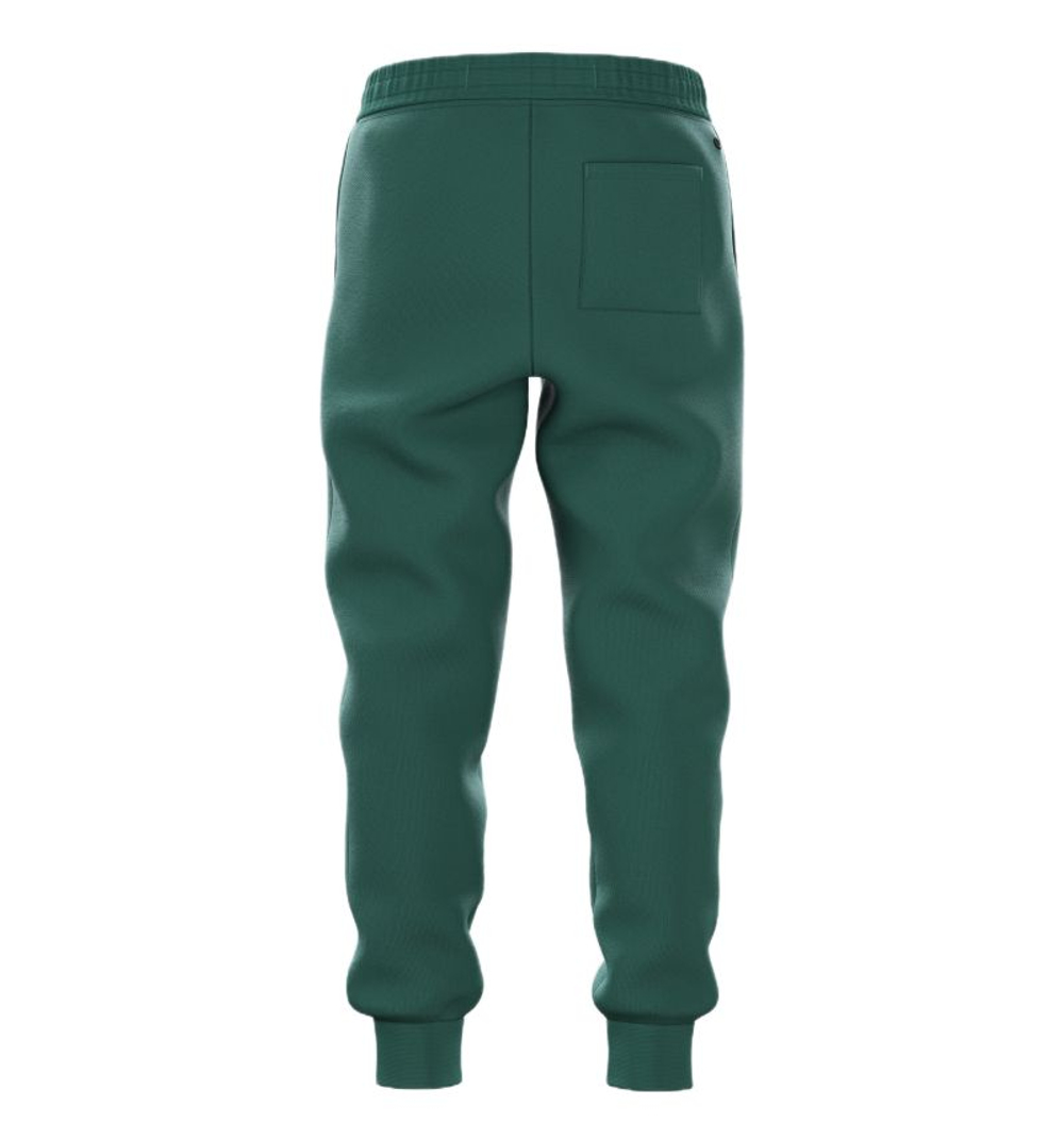 Штаны для мальчика теннисные Björn Borg Essential 1 - posy green