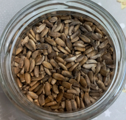 Семена расторопши, 0,5 кг.