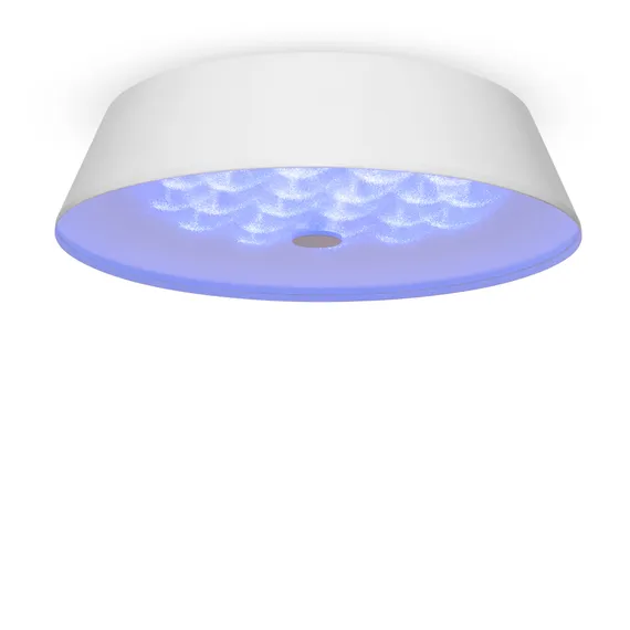 Потолочный светильник FR10013CL-L24W Элементы 24 Вт LED Freya fr10013cl-l24w