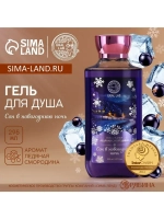 Гель для душа «Сон», 295 мл, аромат смородины, URAL LAB