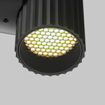 Настенный светильник (бра) Maytoni C106WL-01-GU10-B