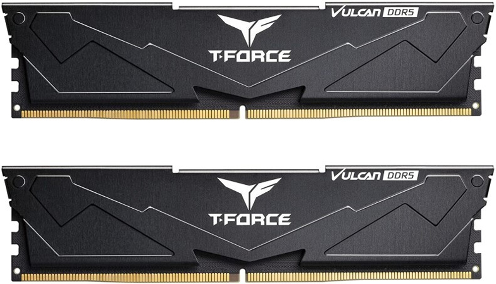 Модуль памяти DDR5 32GB (2*16GB) Team Group FLBD532G5600HC36BDC01