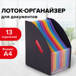 Лоток-органайзер вертикальный для бумаг и документов 13 отделений BRAUBERG DOCS А4 черный (2 штуки в упаковке)