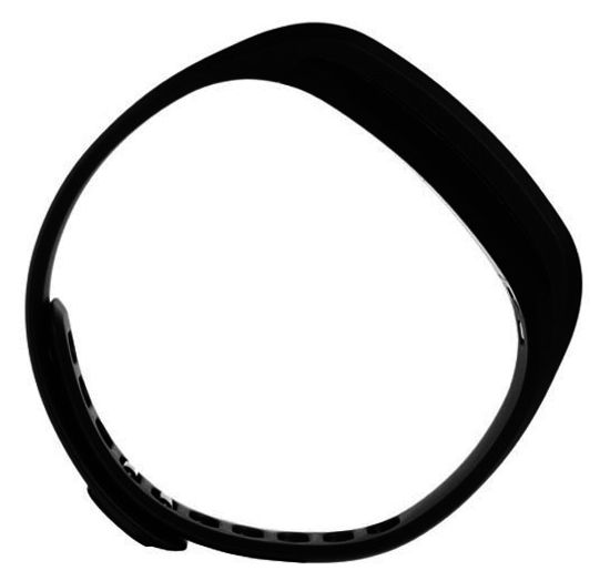 Спортивные часы Garmin Vivofit 010-01225-00