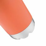 термобутылка PARKY