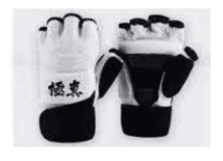 Перчатки для каратэ TS белые