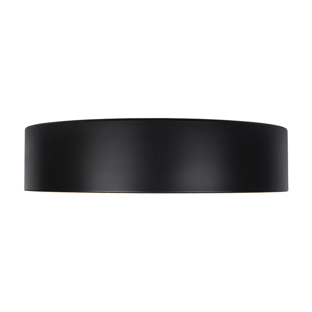 10202 Black Потолочный светильник LOFT IT Coin