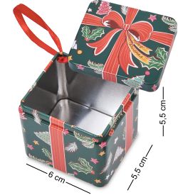 TCN-20/2 Коробка металлическая