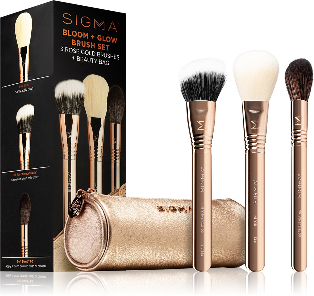 Sigma Beauty Bloom + Glow Brush Set - набор кистей с футляром /   / GTIN 811425033159