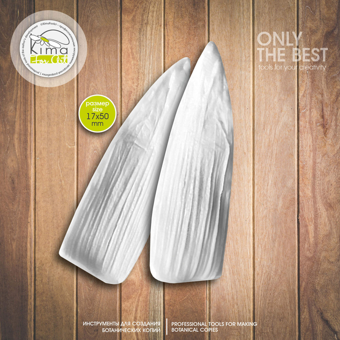 Крокус чешуйка