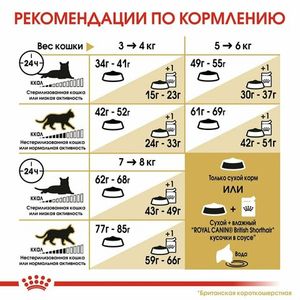 Уценка! Срок до 05.2024/ Корм для кошек, Royal Canin British Shorthair Adult, для кошек породы британская короткошерстная и породы шотландская вислоухая в возрасте от 1 года и старше