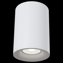 Накладной светильник Maytoni Technical C012CL-01W
