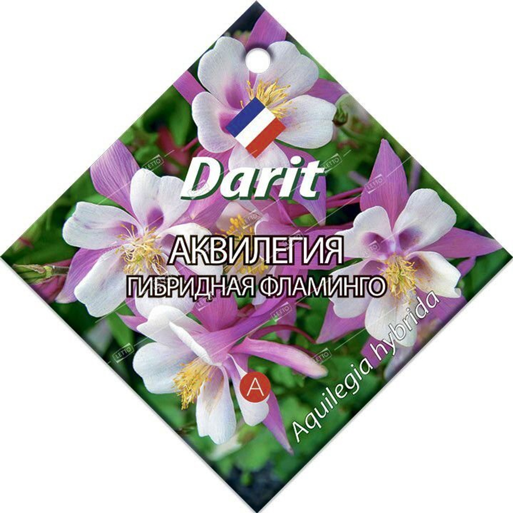 6c0420f66bfcdb8d91c2bfaec63f44f1
