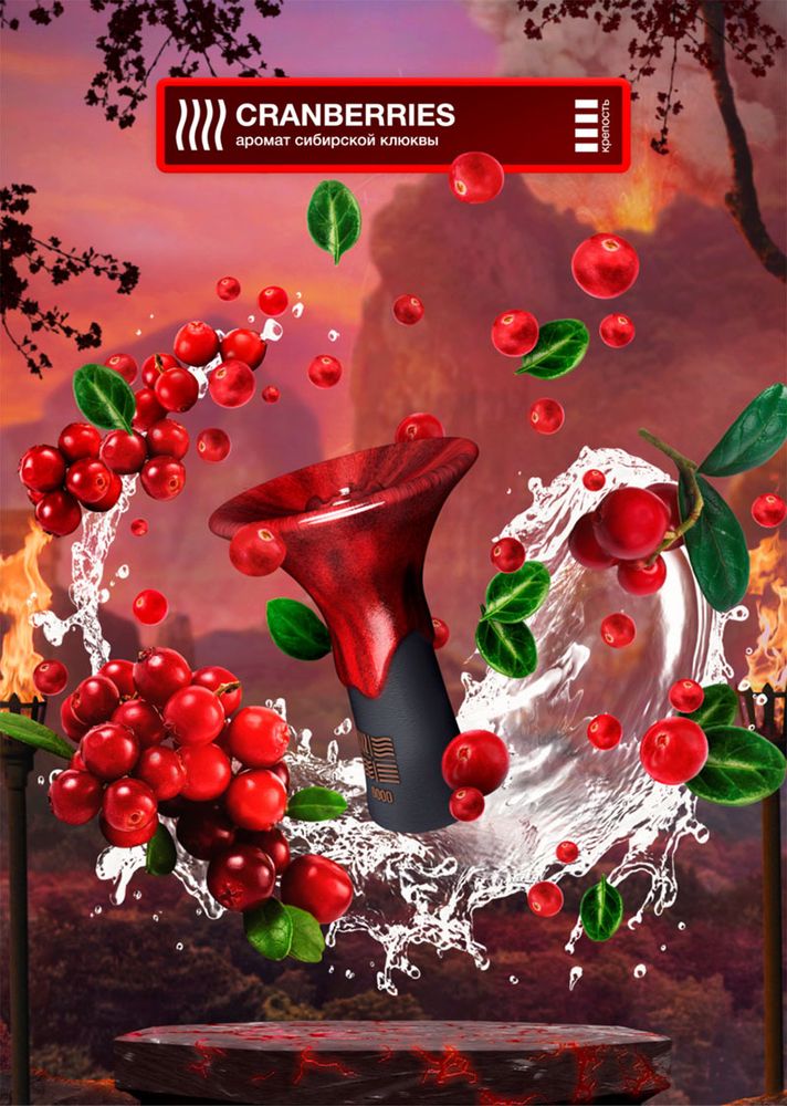 Element Огонь - Cranberries (Аромат сибирской клюквы) 25 гр.