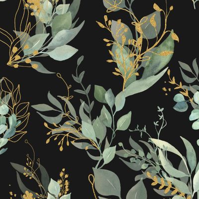 Листья Эвкалипта на Черном фоне