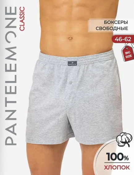 Трусы мужские семейные Pantelemone PMB-039, серые