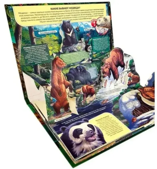 3D энциклопедия-панорамка. Хищники от 25.07.2022