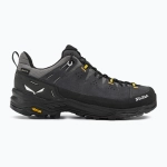 Ботинки Salewa Alp Trainer 2 GTX onyx/black