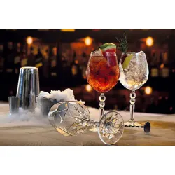 Бокал для коктейля 610 мл хр. стекло Gin Tonic Alkemist d 10,3 см h20,9 см RCR [6]