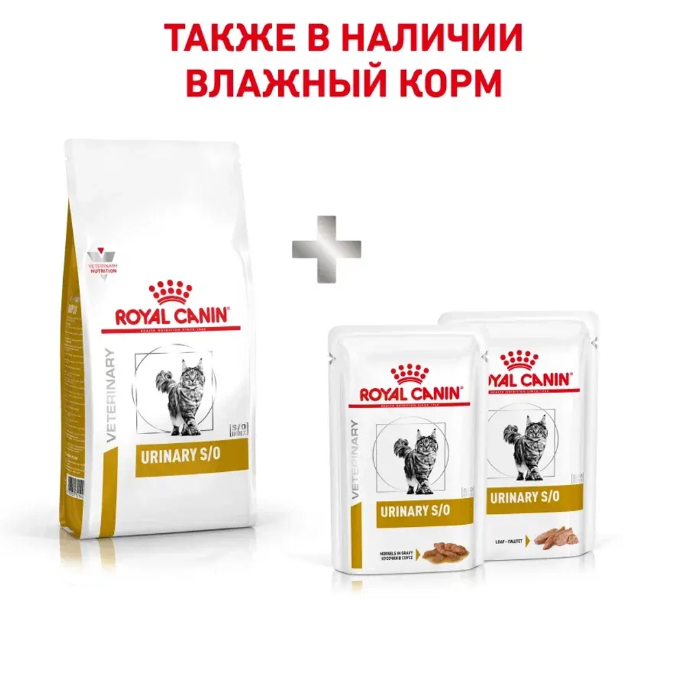 Royal Canin корм сухой для взрослых кошек при мочекаменной болезни