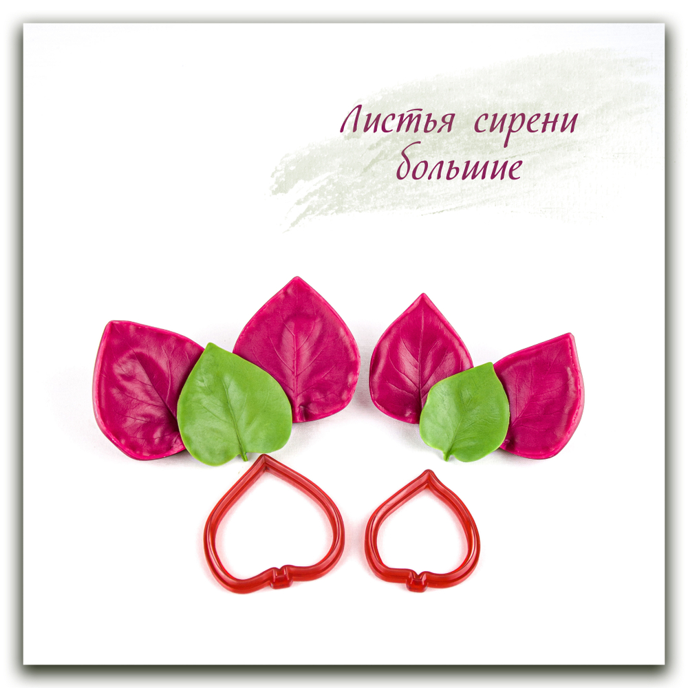Листья сирени большие