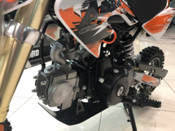 Питбайк MOTOLAND APEX10 110 куб.см. автомат 14/12