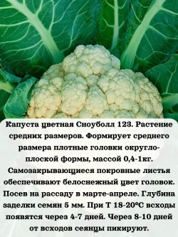 Семена Капуста цветная Сноуболл 123 5гр