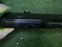 DSCN8530.JPG