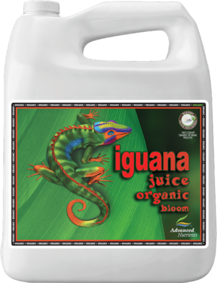 AN Iguana Juice Organic Bloom