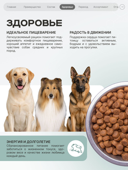 Корм для собак средних и крупных пород SF Immuno Balance, (гистиоцитарные опухоли), 3 кг, QUATTRO