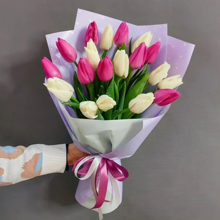 Букет из 19 белых и розовых тюльпанов