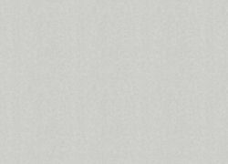 Otaru / Kumano / Surface