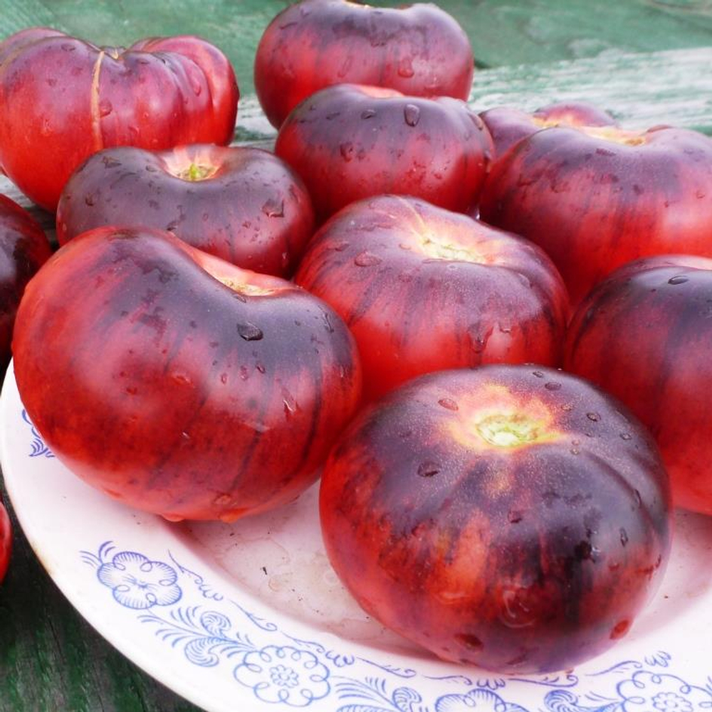 Помидоры - Blue Beauty - Голубая Красавица