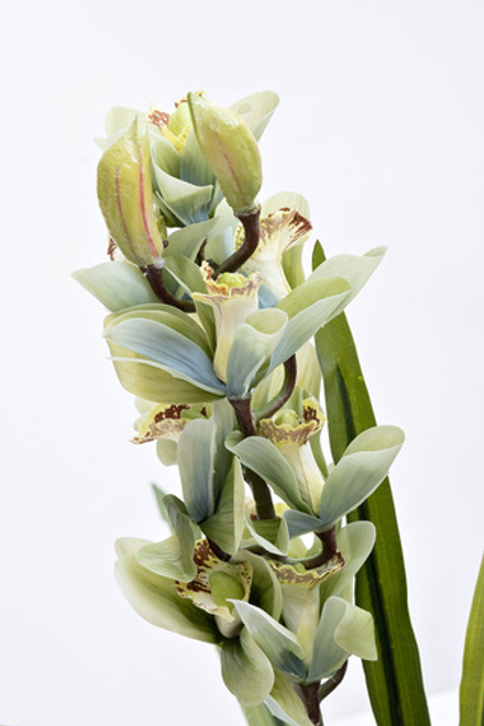 Орхидея Cymbidium искусственная цвет лайм в горшке