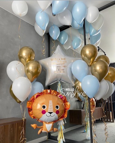 Набор шаров на выписку №25